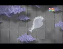 el jacaranda