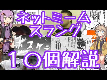 今さら人に聞けないネットのネタ解説その35【結月ゆかり×春日部つむぎ】