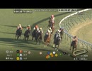【カウントダウンＴＣつき】2025 東京スポーツ杯2歳S (GⅡ) 　パントルナイーフ