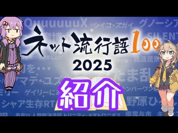 ネット流行語100(ザッと)紹介～ネットネタ解説番外編～【雪さん×中部つるぎ】