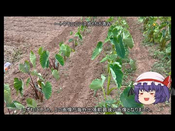 ゆっくり農民273サトイモを育ててみませんか？#7