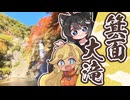 【ゆる旅日記】箕面大滝の紅葉を見に行ってきました！【オリキャラ実況】