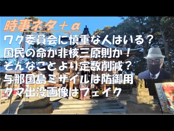 ワクチン被害国会質問ｂｙ岩本まな！存立危機事態発言、大枠賛成ｂｙ神谷宗幣！非核三原則は核抑止に邪魔（首相発言）の間違いｂｙ烏賀陽弘道！そんなことより、議員定数削減の危険性ｂｙねずみ【アラ還・読書中毒】