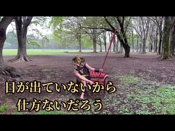 11月動画
