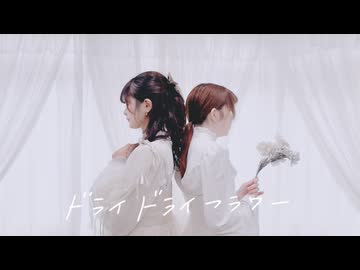 【ろあ×こづか】ドライドライフラワー 踊ってみた