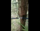 繋がって無い