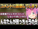 【エースコンバット・ゼロ 】ワザップコメントに困惑するルーナ姫【姫森ルーナ/ホロライブ切り抜き】
