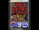 25・11・28　臓器狩りが　国策の国が　安全な訳無いだろよ。