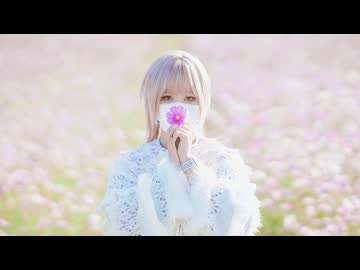 【夏音】花 (feat.花譜) - Guiano「コスモス」【踊ってみた・自由に】
