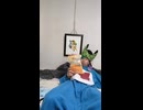 CVO FXSBSEブレイクアウトのハーレーダビッドソンのバイクのライダー・バイカーが故障追突死亡事故出会い頭交差点交通事故死傷重傷接触事故暴走過失危険運転直進右直事故すり抜けスリップ事故0祈願