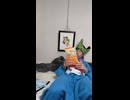 FLSTC ヘリテイジソフテイルクラシックのハーレーダビッドソンのライダー・バイカーが故障追突死亡事故出会い頭交差点交通事故死傷重傷接触事故暴走過失危険運転直進右直事故すり抜けスリップ事故0祈願