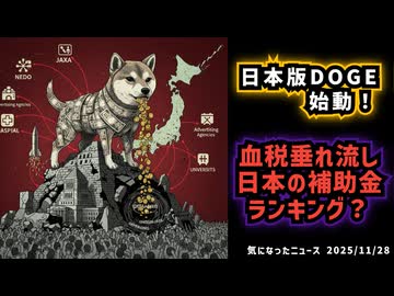 【国民の血税垂れ流し】◆日本の補助金ランキングがヤバすぎる【日本版DOGE】