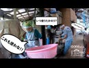 【第378回】トントントントン⑥と、荷物届いた！と、むかご