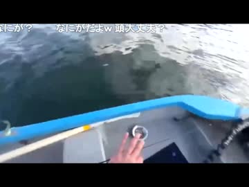 【アトレーワゴン最上級グレード＠助手席にお茶をこぼす】イルカ池「すわせん」の呪い