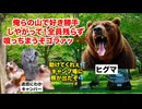 【キャンプ離れ】キャンプ業界終了のお知らせ！？なぜキャンプ離れが急増しているのか？ #猫マニ #猫ミーム