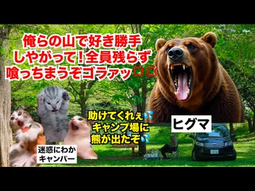 【キャンプ離れ】キャンプ業界終了のお知らせ！？なぜキャンプ離れが急増しているのか？ #猫マニ #猫ミーム