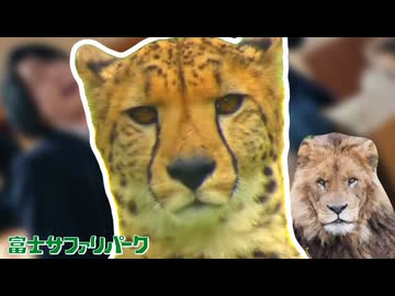 ホントにホントにホントにホントにライラックだ！！