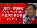 【原口一博議員】『ワクチン被害』衆議院外務委員会(25.11.28)