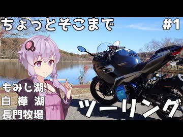 【Ninja250】紅葉のトンネルと絶品ビーフシチュー！秋の信州満喫ツーリング【VOICEROID車載】