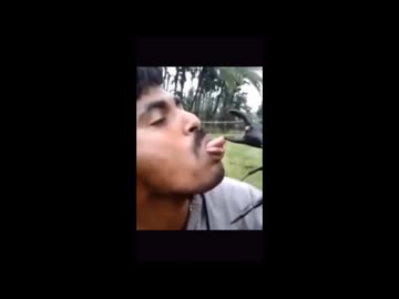 世界の衝撃的映像集Part221