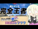 【ソフトウェアトーク実況】IAちゃんのエアライダー5【カービィのエアライダー】