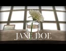 JANE DOE - 流水 × ギブ (cover)
