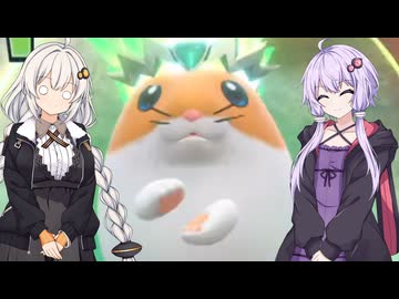 【カービィのエアライダー】ゆづきずエアライダー #8