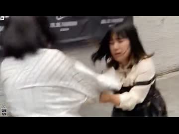 ホモと見るファミコンみたいな動きのキャットファイトをするトー横女子