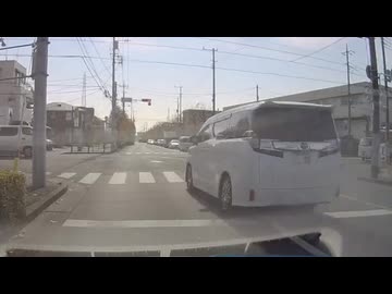 ホモと見る今年一番やばいアルファード