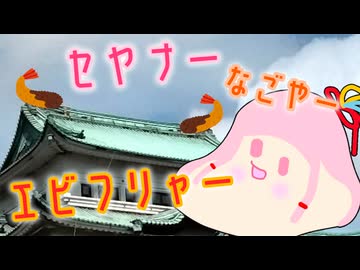 ｾﾔﾅｰ　ﾅｺﾞﾔｰ　ｴﾋﾞﾌﾘｬｰ【10周年だよｾﾔ祭り】