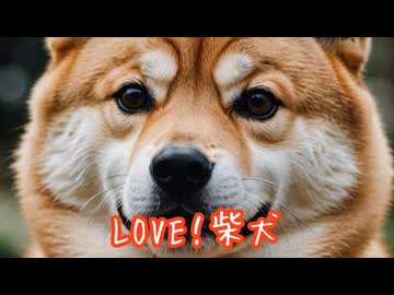 LOVE！柴犬