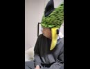 FXLRST ソフテイル　ローライダーSTのハーレーダビッドソンのライダー・バイカーが故障追突死亡事故出会い頭交差点交通事故死傷重傷接触事故暴走過失危険運転直進右直事故すり抜けスリップ事故0祈願