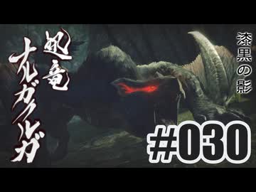 はじめてのモンハンを夜な夜な実況#030