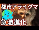 急速に進化する都市のゴミパンダに衝撃の変化が！！【生物解説】