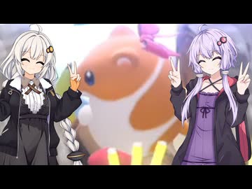 【カービィのエアライダー】ゆづきずエアライダー #9