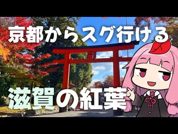 京都からすぐ行ける、滋賀の湖西の紅葉名所～半日観光プラン～