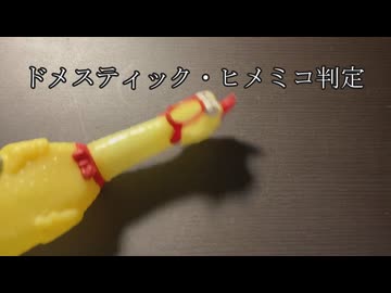 ドメスティック・ヒメミコ