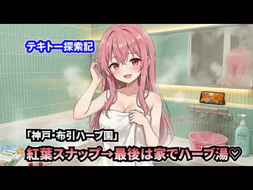 【テキトー探索記】「布引ハーブ園」紅葉スナップ→最後は家でハーブ湯♡【Vlog】