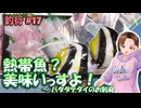 #17 熱帯魚？美味いっすよ！ ～ ハタタテダイのお刺身