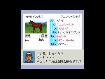 ダビスタ96RTA(再走)　3時間03分35秒【解説無し】