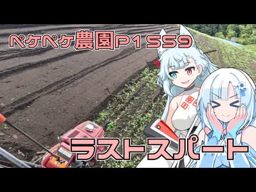 2025年11月29日　農作業日誌P1559　ドルパは明日・・・準備まだ・・・農作業頑張る！