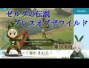【ゼルダの伝説】008_ゴロンシティ行くゴロ【ブレスオブザワイルド】