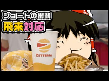 【ゆっくり自由帳】ショートの衝動 飛来対応