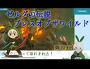 【ゼルダの伝説】009_メイン進めるかー【ブレスオブザワイルド】