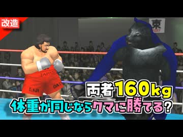 クマと戦うためにウェイトを合わせてきた伊達英二【改造はじめの一歩】