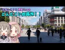どんとこい姫路旅！！【女二人で姫路城を攻め落としに行こうの巻】