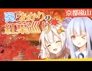 京都嵐山の紅葉をのんびり巡る、葵とあかりの旅行記。【ソフトウェアトーク旅行】