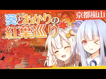 京都嵐山の紅葉をのんびり巡る、葵とあかりの旅行記。【ソフトウェアトーク旅行】