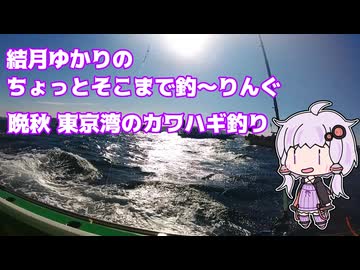 ちょっとそこまで釣～りんぐ 晩秋　東京湾のカワハギ【結月ゆかり】