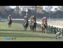 2025 ベゴニア賞 (2歳1勝クラス)　ドリームコア